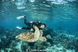 My wife and Green sea Turtle by Caner Candemir 